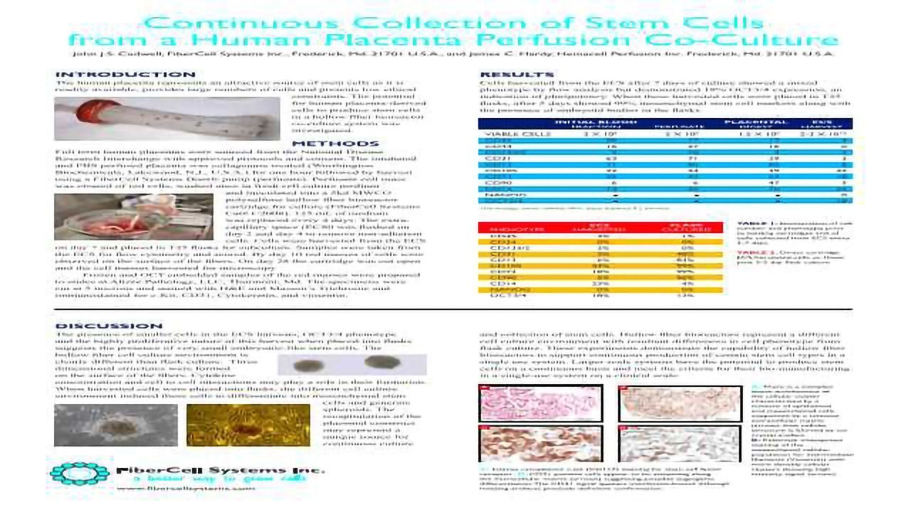 Continuous Collection of Stem Cells from a Human Placenta Perfusion Co-Culture