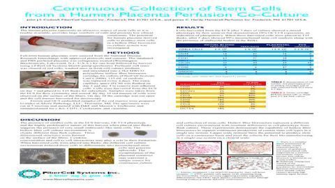 Continuous Collection of Stem Cells from a Human Placenta Perfusion Co-Culture