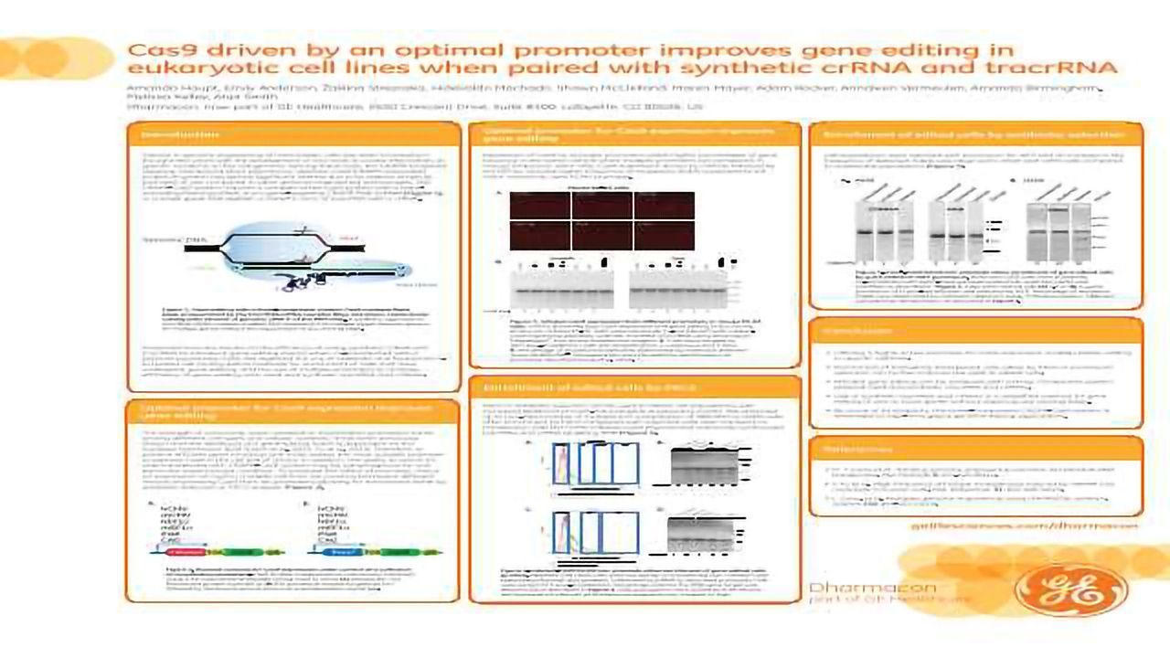 Cas9 Driven by an Optimal Promoter Improves Gene Editing in Eukaryotic Cell Lines when Paired with Synthetic crRNA and tracrRNA