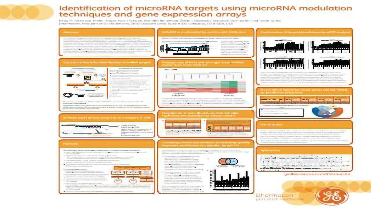 Identification of microRNA Targets using microRNA Modulation Techniques and Gene Expression Arrays