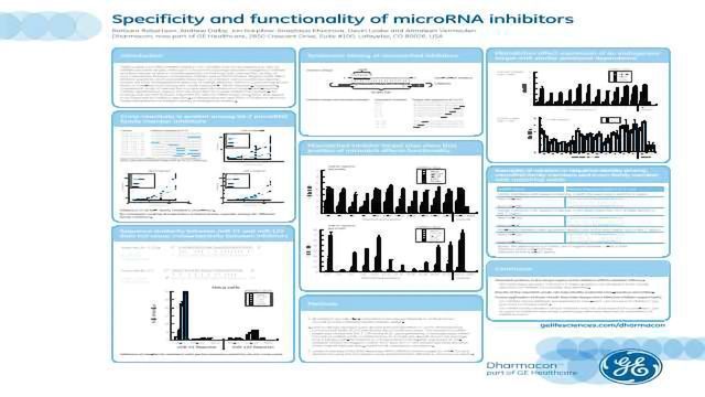 特异性和microRNA抑制剂的功能内容块的形象