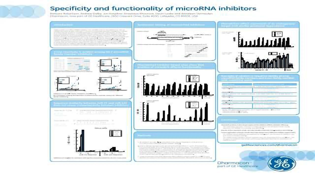 Specificity and Functionality of microRNA Inhibitors