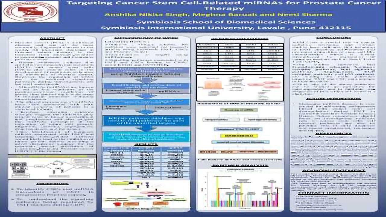 Targeting Cancer Stem Cell-Related miRNAs for Prostate Cancer Therapy