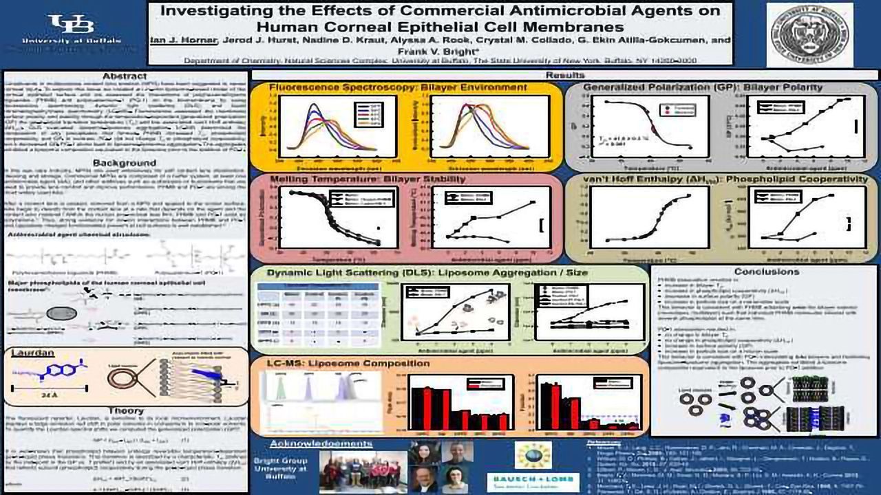 Investigating the Effects of Commercial Antimicrobial Agents on Human Corneal Epithelial Cell Membranes