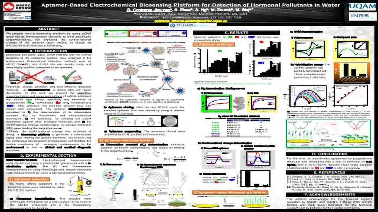 Aptamer-Based Electrochemical Biosensing Platform for Detection of Hormonal Pollutants in Water