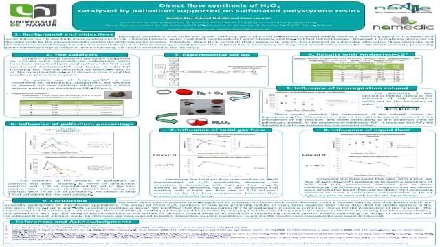 Direct flow synthesis of H2O2 catalysed by palladium supported on sulfonated polystyrene resins content piece image 