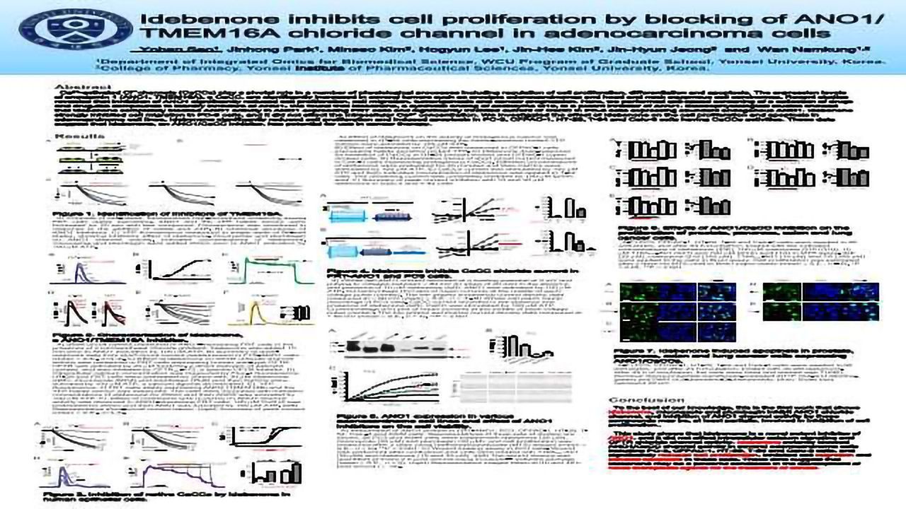 Idebenone Inhibits Cell Proliferation by Blocking of ANO1/ TMEM16A Chloride Channel in Adenocarcinoma Cells