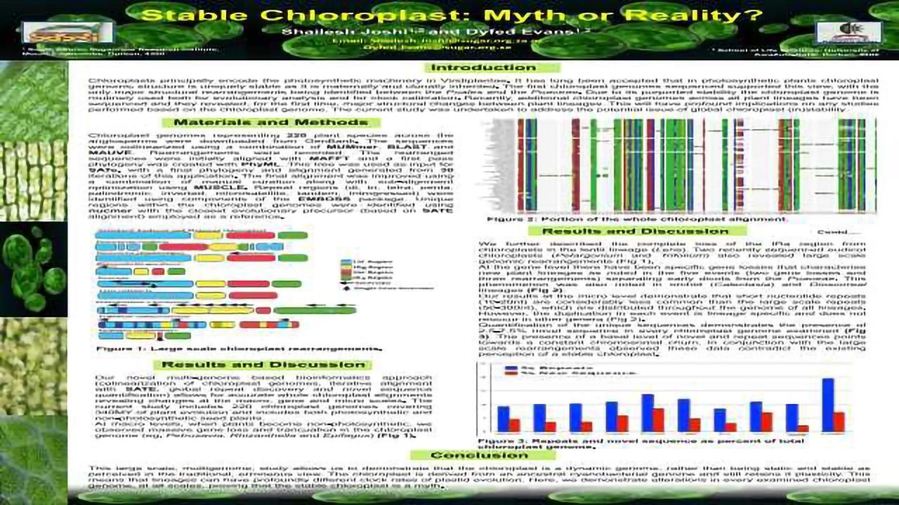 Stable Chloroplast: Myth or Reality?