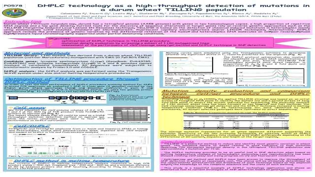 DHPLC Technology as a High-throughput Detection of Mutations in a Durum Wheat TILLING Population