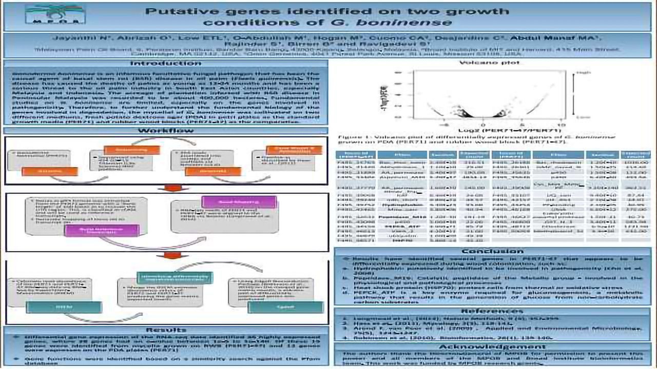 Putative Genes Identified on Two Growth Conditions of G. boninense