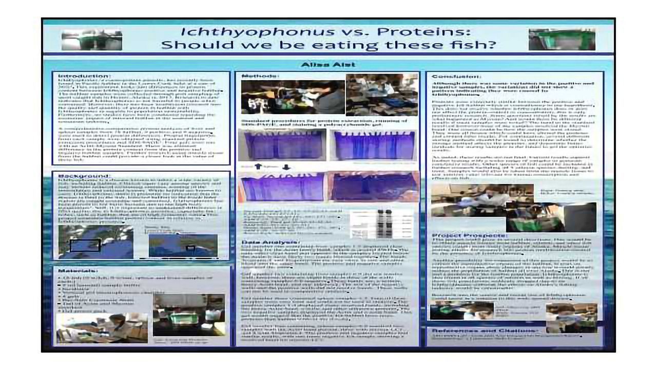 Ichthyophonus vs. Proteins: Should we be eating these fish?