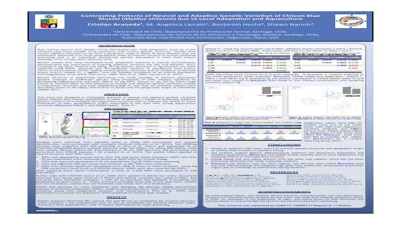 Contrasting Patterns of Neutral and Adaptive Genetic Variation of Chilean Blue Mussel (Mytilus chilensis) Due to Local Adaptation and Aquaculture
