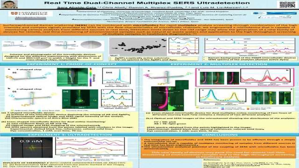 Real Time Dual-Channel Multiplex SERS Ultradetection content piece image