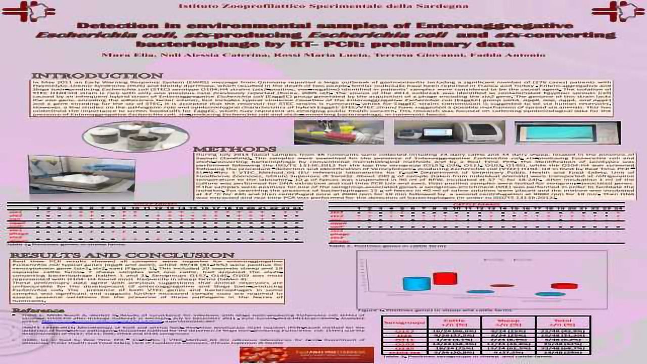 Detection in Environmental Samples of Enteroagregative Escherichia coli, stx-producing Escherichia coli and stx-converting Bacteriophage by RT- PCR: Preliminary Data