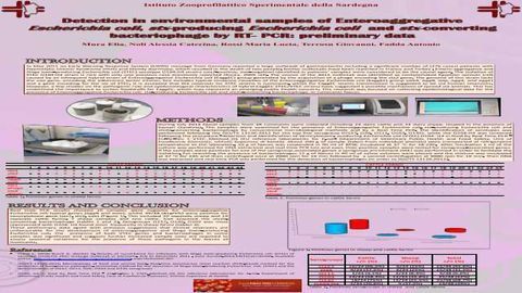 Detection in Environmental Samples of Enteroagregative Escherichia coli, stx-producing Escherichia coli and stx-converting Bacteriophage by RT- PCR: Preliminary Data