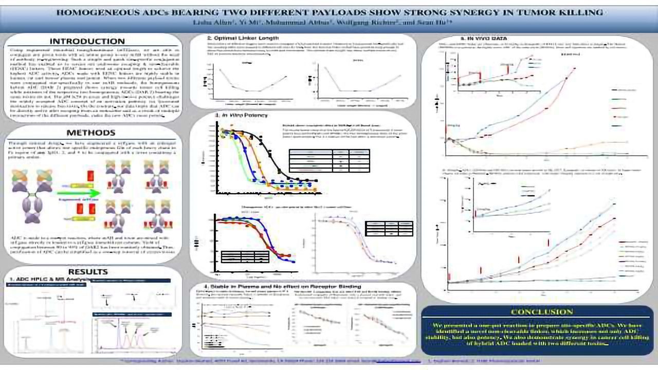 Homogeneous ADCs Bearing Two Different Payloads Show Strong Synergy In Tumor Killing
