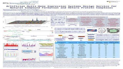 Artificial Multi-Gene Expression Systems Design Service for Natural Compound Formation and Hetero Protein Complexes