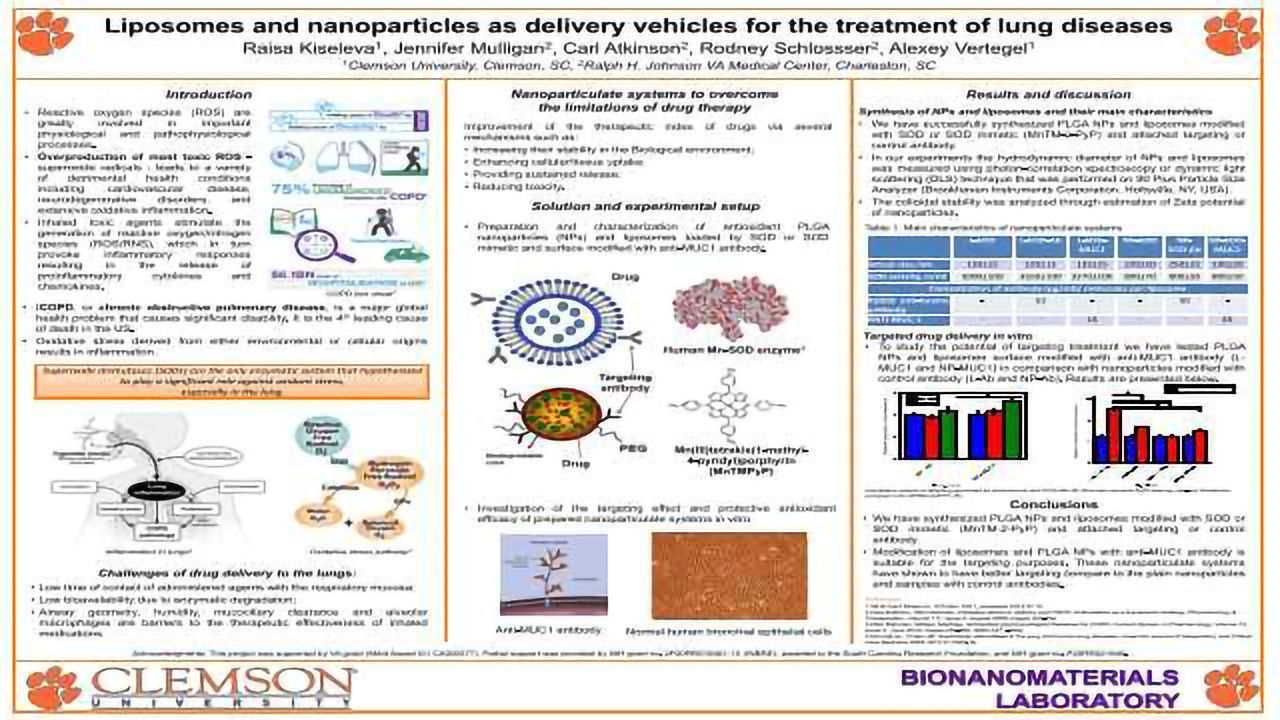Liposomes and Nanoparticles as Delivery Vehicles for the Treatment of Lung Diseases