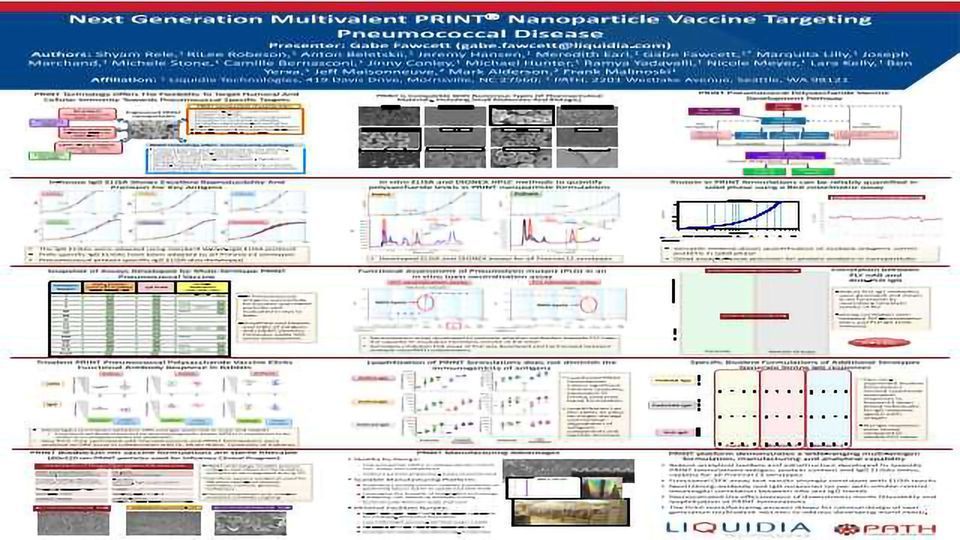 Next Generation Multivalent PRINT Nanoparticle Vaccine Targeting Pneumococcal Disease content piece image