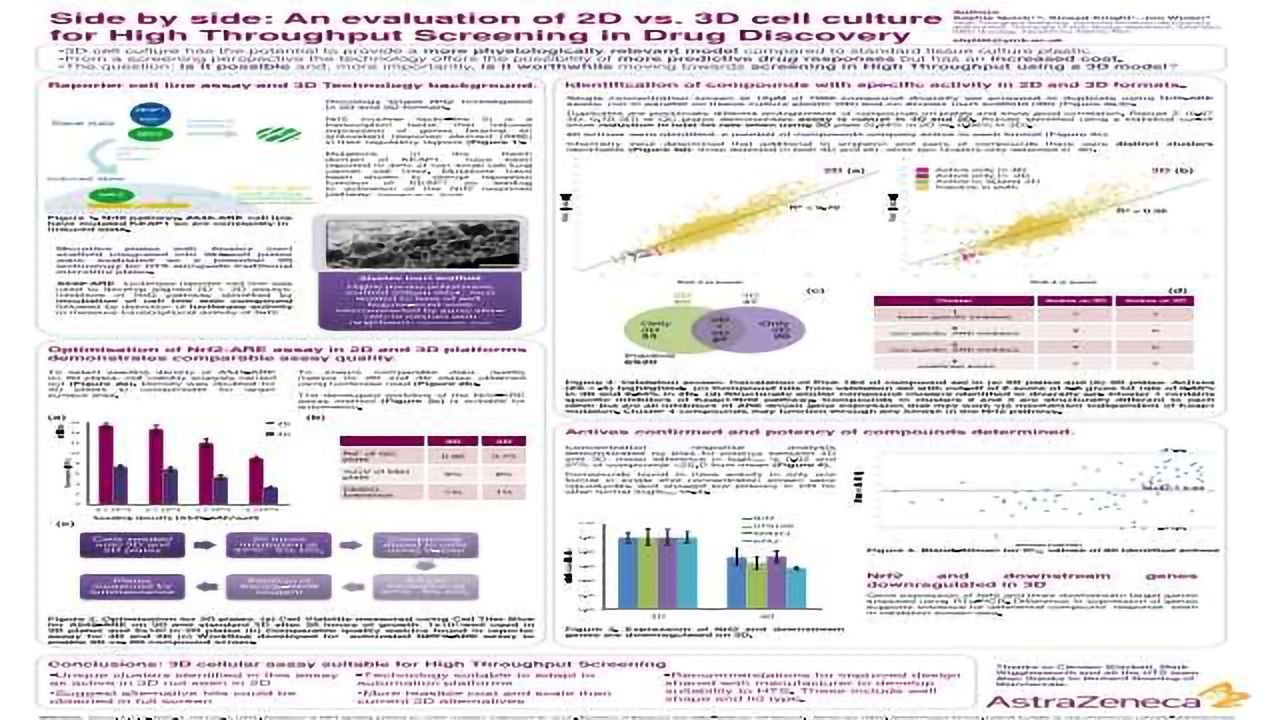 Side by Side: An Evaluation of 2D vs. 3D Cell Culture for High Throughput Screening in Drug Discovery
