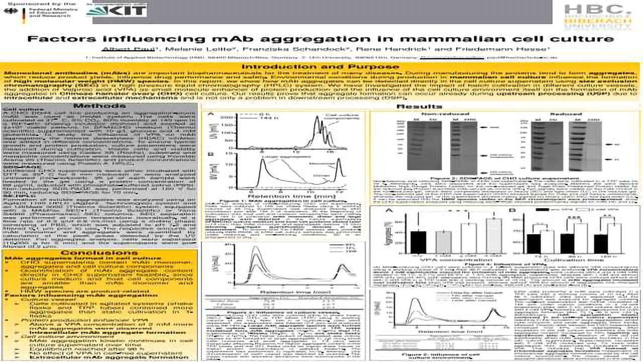 Factors Influencing mAb Aggregation in Mammalian Cell Culture