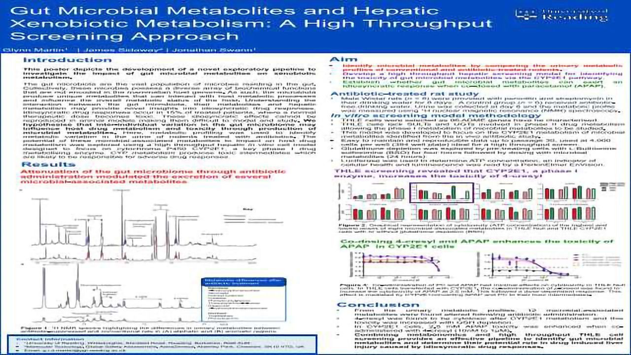 Gut Microbial Metabolites and Hepatic Xenobiotic Metabolism: A High Throughput Screening Approach