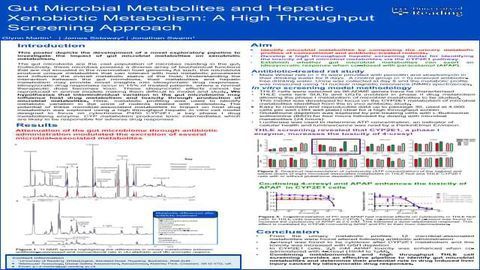 Gut Microbial Metabolites and Hepatic Xenobiotic Metabolism: A High Throughput Screening Approach