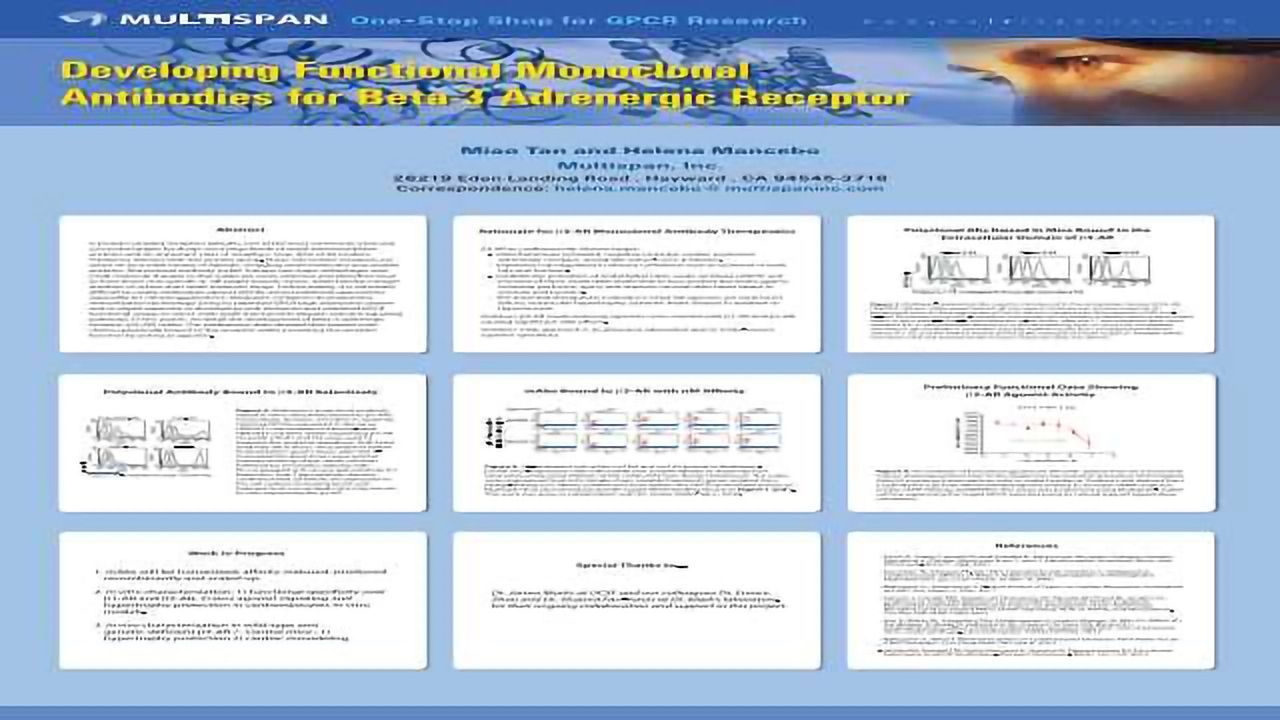 Developing Functional Monoclonal Antibodies for Beta-3 Adrenergic Receptor