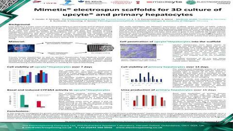 Mimetix® Electrospun Scaffolds for 3D Culture of Upcyte® and Primary Hepatocytes