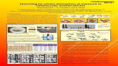 Searching for Urinary Biomarkers of Exposure to Heterocyclic Amines (HCAs)