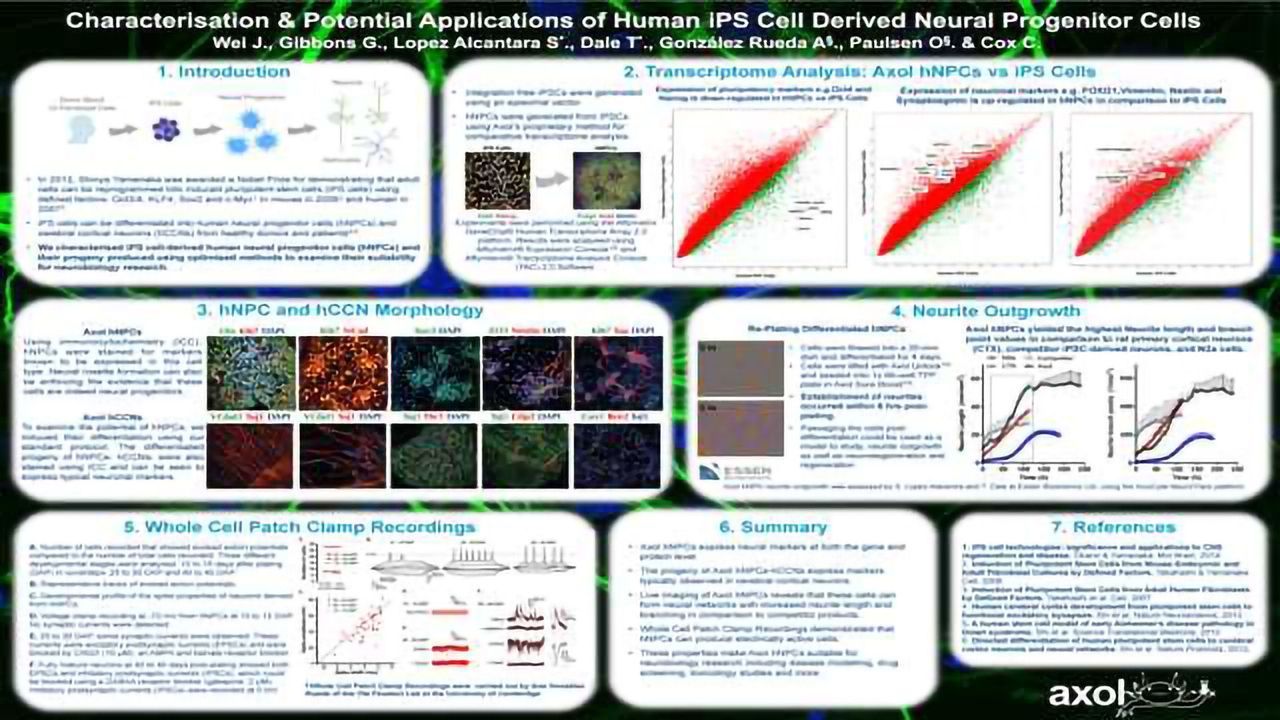 Characterisation & Potential Applications of Human iPS Cell Derived Neural Progenitor Cells