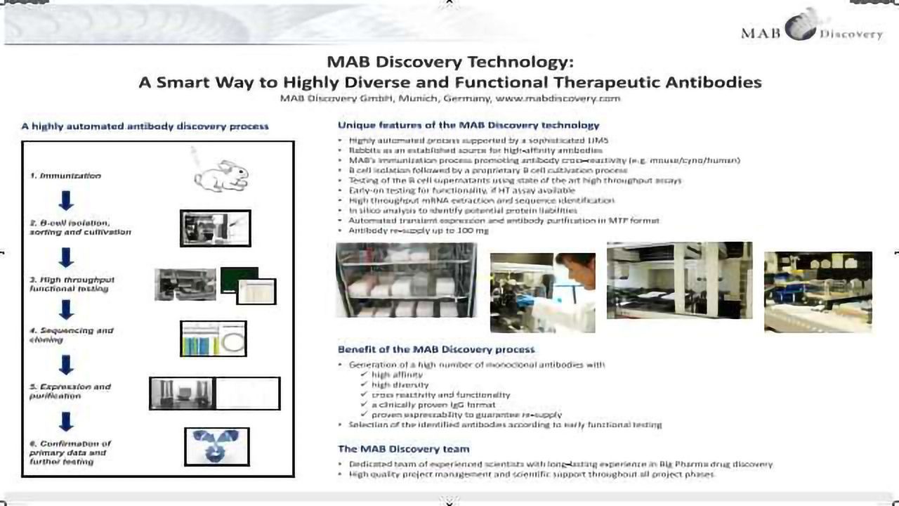 MAB Discovery Technology: A Smart Way to Highly Diverse and Functional Therapeutic Antibodies