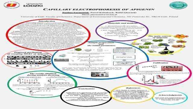 CAPILLARY ELECTROPHORESIS OF APIGENIN content piece image 