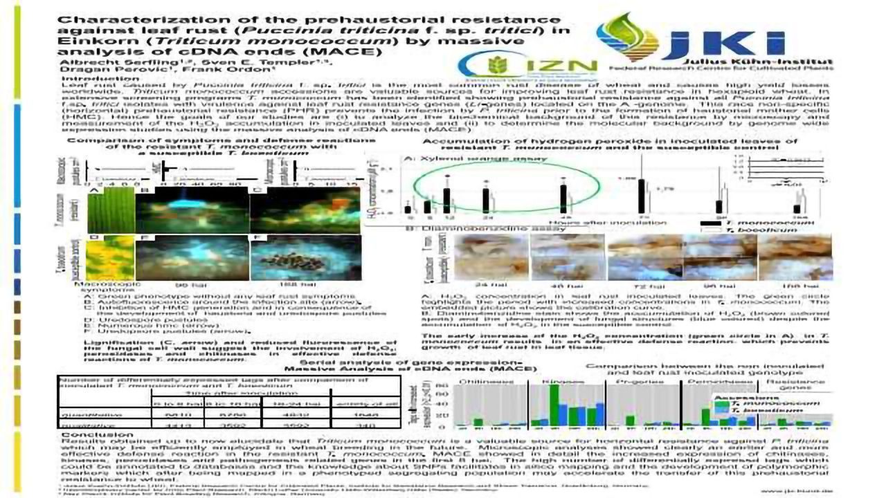 Characterization of the prehaustorial resistance against leaf rust (Puccinia triticina f. sp. tritici) in Einkorn (Triticum monococcum) by massive analysis of cDNA ends (MACE)