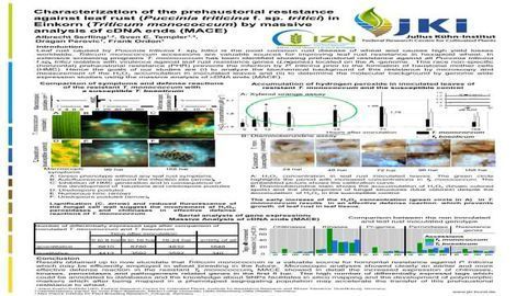 Characterization of the prehaustorial resistance against leaf rust (Puccinia triticina f. sp. tritici) in Einkorn (Triticum monococcum) by massive analysis of cDNA ends (MACE)