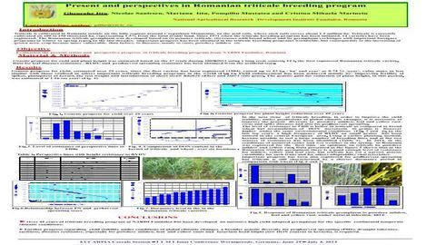 Genetic progress in the Romanian triticale breeding program