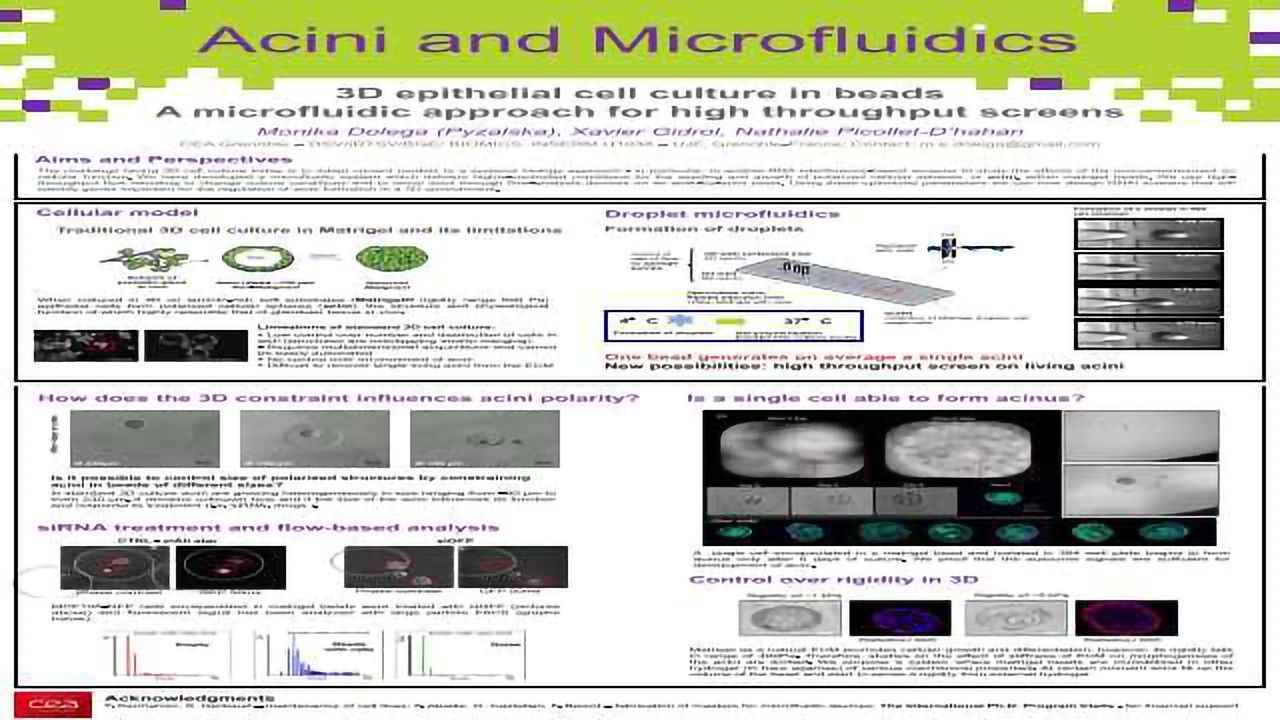 Droplet Microfluidics for 3D Epithelial Cell Culture