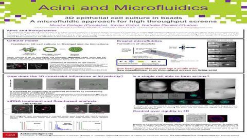 Droplet Microfluidics for 3D Epithelial Cell Culture
