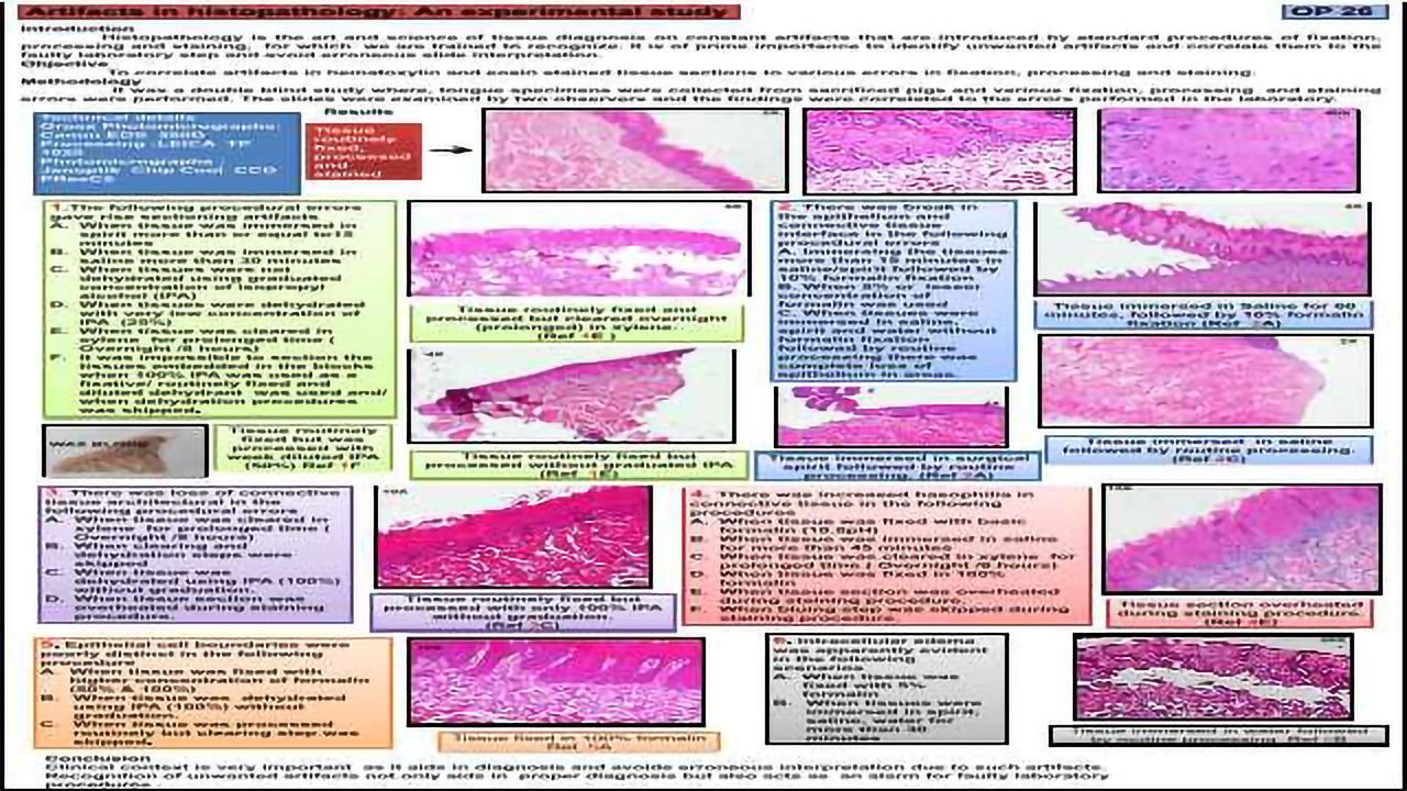 Artifacts in histopathology: An experimental study