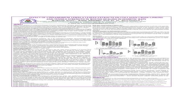 Effect of cinnamomum tamala leaves extracts on collagen cross-linking and tensile strength in wound healing in diabetic rats content piece image 