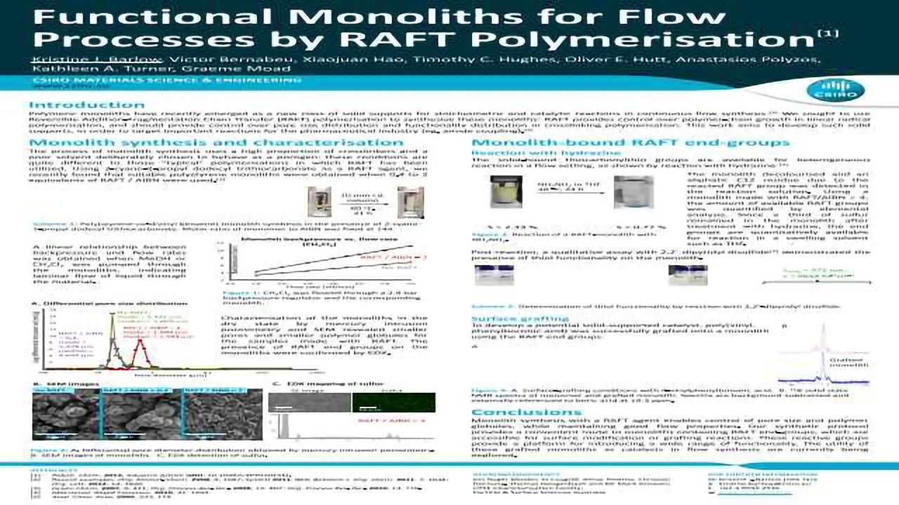 Functional Monoliths for Flow Processes by RAFT Polymerisation