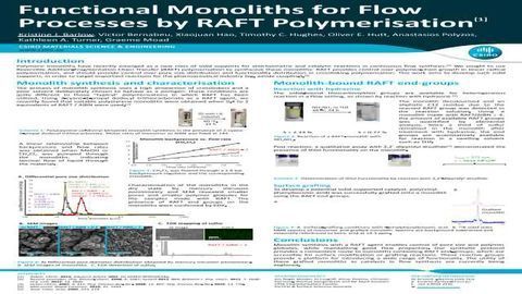 Functional Monoliths for Flow Processes by RAFT Polymerisation