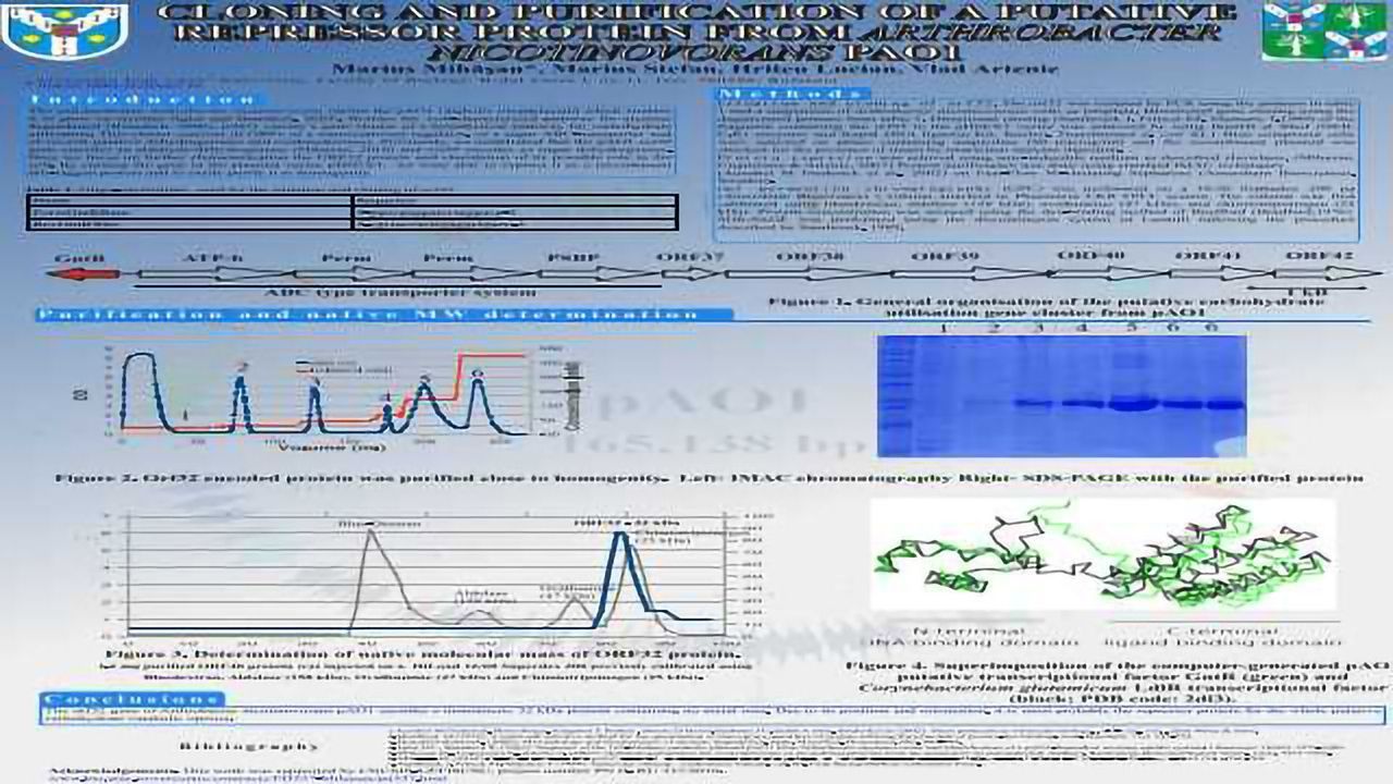Cloning And Purification of a Putative Repressor Protein from Arthrobacter nicotinovorans Pao1