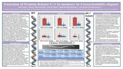 Function of Protein Kinase C-1 in memory in Caenorhabditis elegans