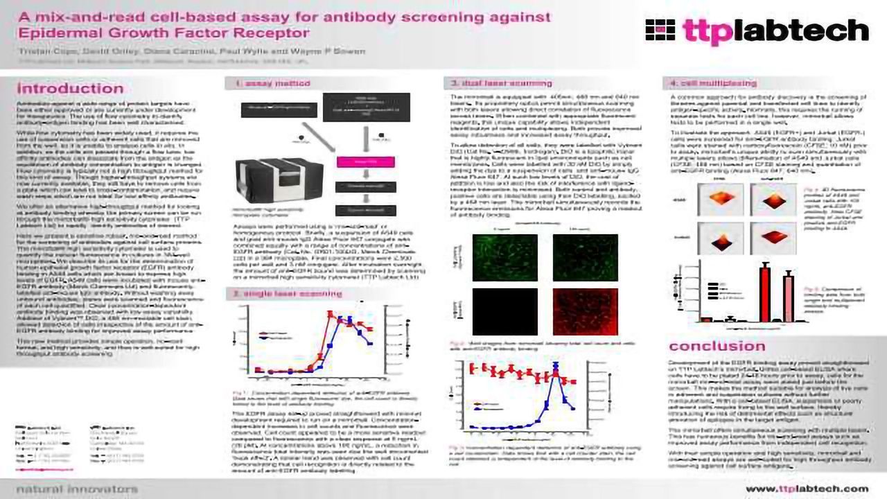 A mix-and-read cell-based assay for antibody screening against Epithelial Growth Factor Receptor