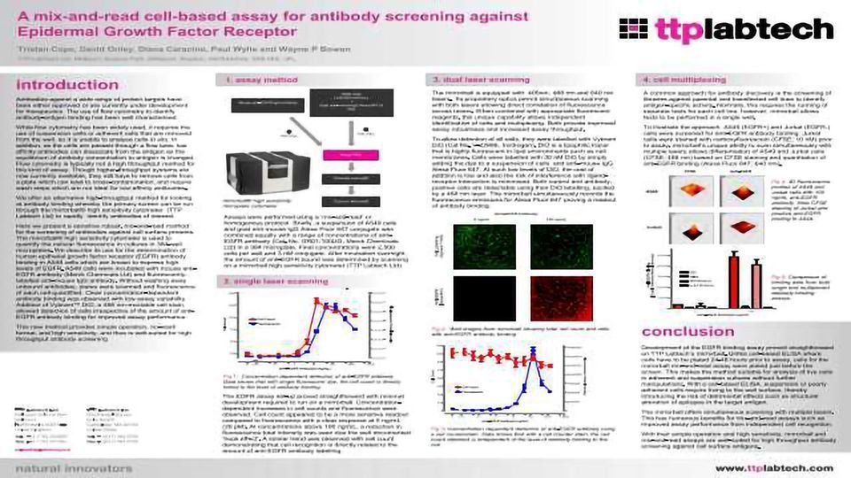 A mix-and-read cell-based assay for antibody screening against Epithelial Growth Factor Receptor  content piece image