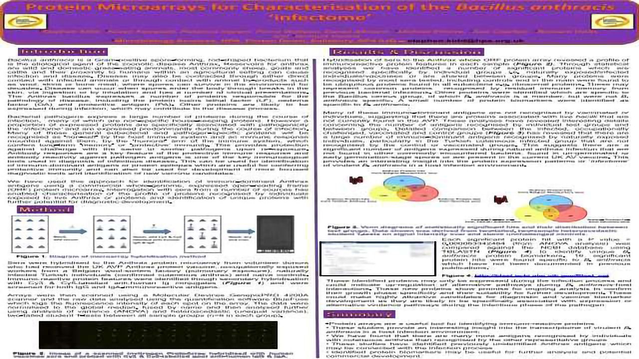 Protein Microarrays for Characterisation of the Bacillus anthracis ‘infectome’