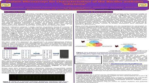 Protein Microarrays for Characterisation of the Bacillus anthracis ‘infectome’