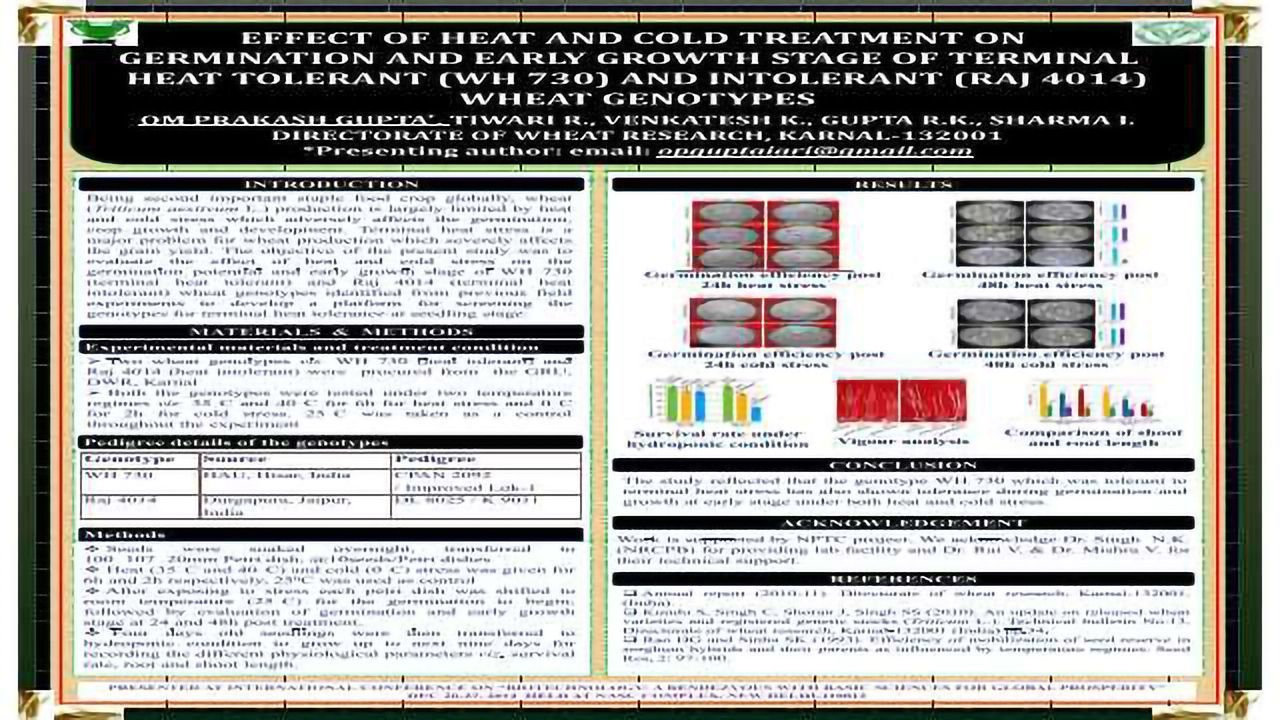 Effect of Heat and Cold Treatment on Germination and Early Growth Stage of Terminal Heat Tolerant (WH 730) and Intolerant (RAJ 4014) Wheat Genotypes