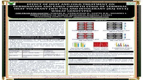 Effect of Heat and Cold Treatment on Germination and Early Growth Stage of Terminal Heat Tolerant (WH 730) and Intolerant (RAJ 4014) Wheat Genotypes